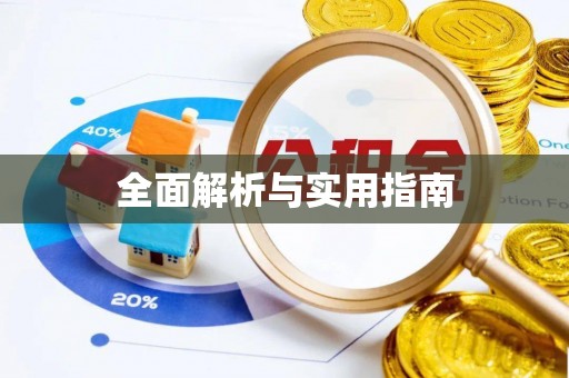 九龙全面解析与实用指南