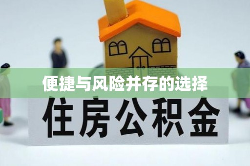 九龙便捷与风险并存的选择