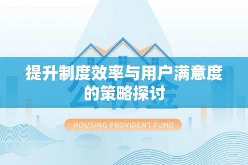 九龙提升制度效率与用户满意度的策略探讨