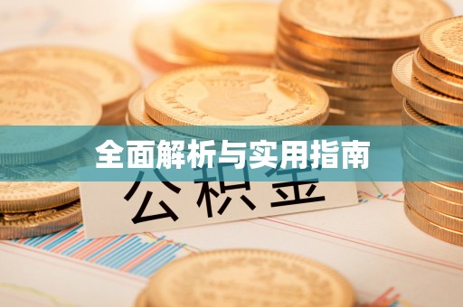 九龙全面解析与实用指南