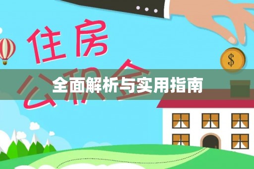 九龙全面解析与实用指南