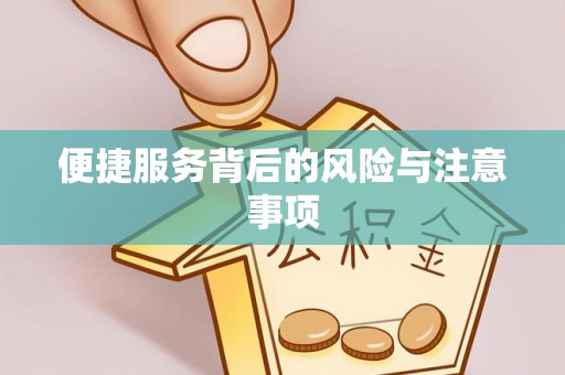九龙便捷服务背后的风险与注意事项