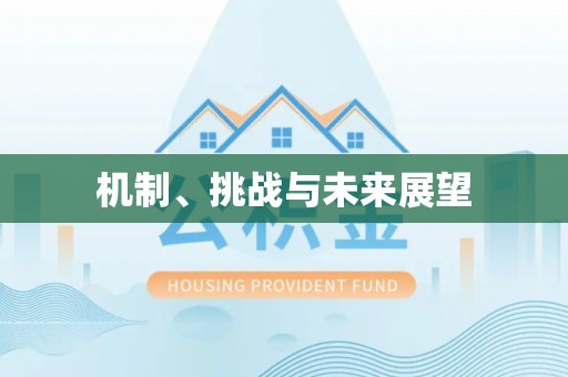 九龙机制、挑战与未来展望